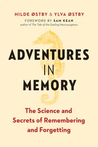 Adventures in Memory_cover