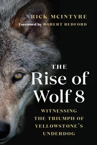 The Rise of Wolf 8_cover