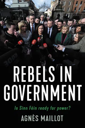 Rebels in government