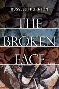 The Broken Face_cover