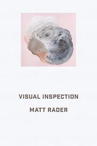 Visual Inspection_cover