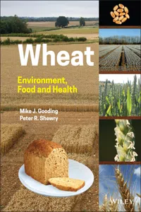 Wheat_cover