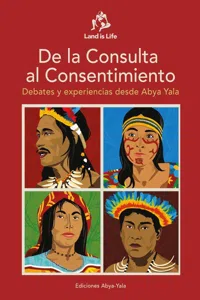 De la Consulta al Consentimiento_cover