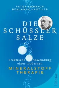 Die Schüßler-Salze_cover