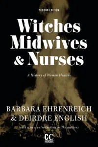 Witches, Midwives, & Nurses_cover