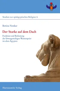 Der Starke auf dem Dach_cover