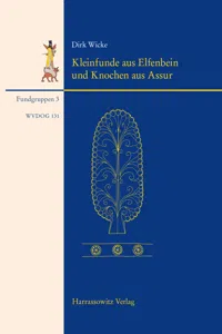 Kleinfunde aus Elfenbein und Knochen aus Assur_cover