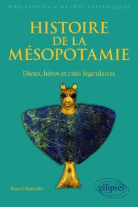 Histoire de la Mésopotamie. Dieux, héros et cités légendaires_cover