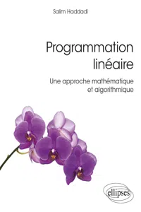 Programmation linéaire - Une approche mathématique et algorithmique_cover