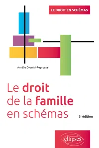 Le droit de la famille en schémas - 2e édition_cover