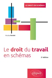 Le Droit du travail en schémas - 2e édition_cover