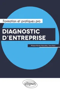 Diagnostic d'entreprise. Performance, Capital immatériel et Risques_cover