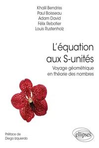 L'équation aux S-unités - Voyage géométrique en théorie des nombres_cover