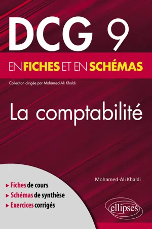 DCG 9 - La comptabilité en fiches et en schémas