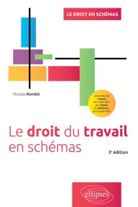 Le droit du travail en schémas_cover