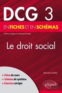 DCG 3 - Le Droit social en fiches et en schémas_cover