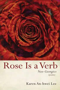 Rose Is a Verb_cover