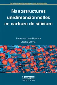 Nanostructures unidimensionnelles en carbure de silicium_cover