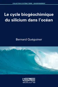 Le cycle biogéochimique du silicium dans l'océan_cover