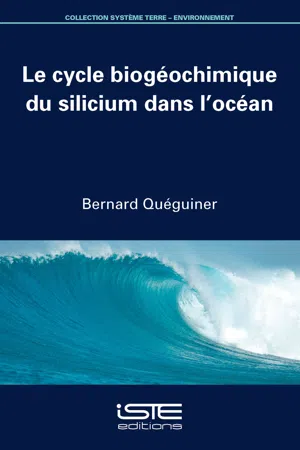 Le cycle biogéochimique du silicium dans l'océan