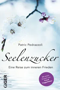 Seelenzucker_cover