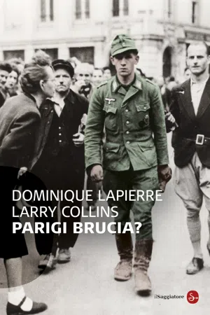 Parigi brucia?