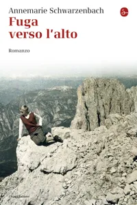 Fuga verso l'alto_cover