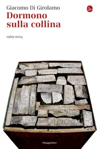 Dormono sulla collina. 1969-2014_cover