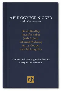 A Eulogy for Nigger and Other Essays_cover