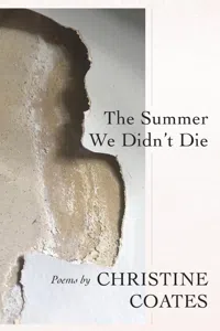 The Summer We Didn't Die_cover
