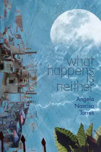 What Happens Is Neither_cover