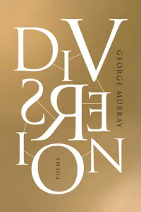 Diversion_cover