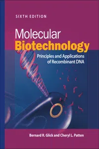 Molecular Biotechnology_cover