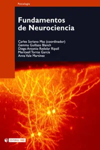 Fundamentos de neurociencia_cover