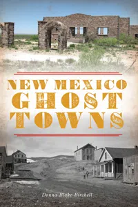 New Mexico Ghost Towns_cover