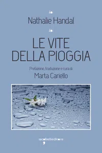 Le vite della pioggia_cover