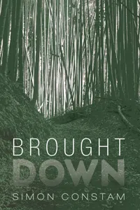 Brought Down_cover