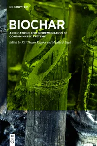 BioChar_cover