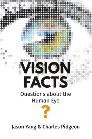 Vision Facts