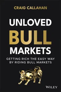Unloved Bull Markets_cover