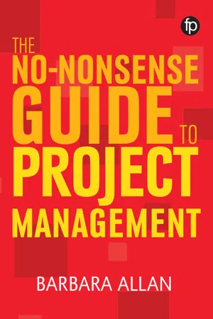 The No-Nonsense Guide to Project Management