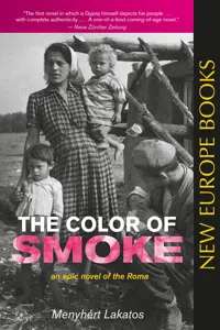 The Color of Smoke_cover