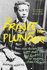 The Prince and the Plunder_cover