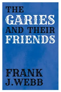 The Garies and Their Friends_cover