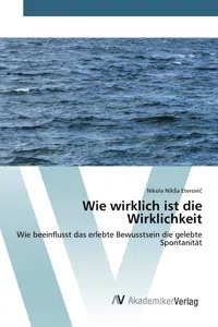 Wie wirklich ist die Wirklichkeit_cover