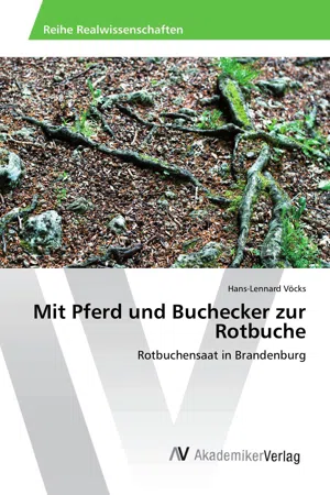 Mit Pferd und Buchecker zur Rotbuche