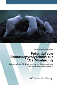 Potential von Biomassepyrolysekoks zur CO2 Minderung_cover