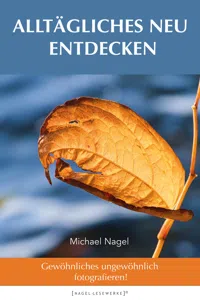 ALLTÄGLICHES NEU ENTDECKEN_cover