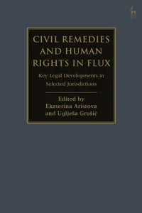 Civil Remedies and Human Rights in Flux_cover