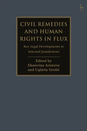 Civil Remedies and Human Rights in Flux